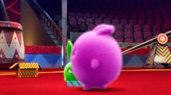 انیمیشن سانی بانیز قسمت 499 - sunny bunnies